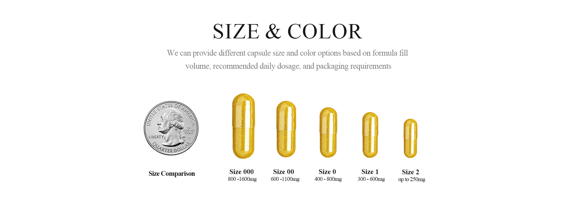 Sustained-Release Capsules