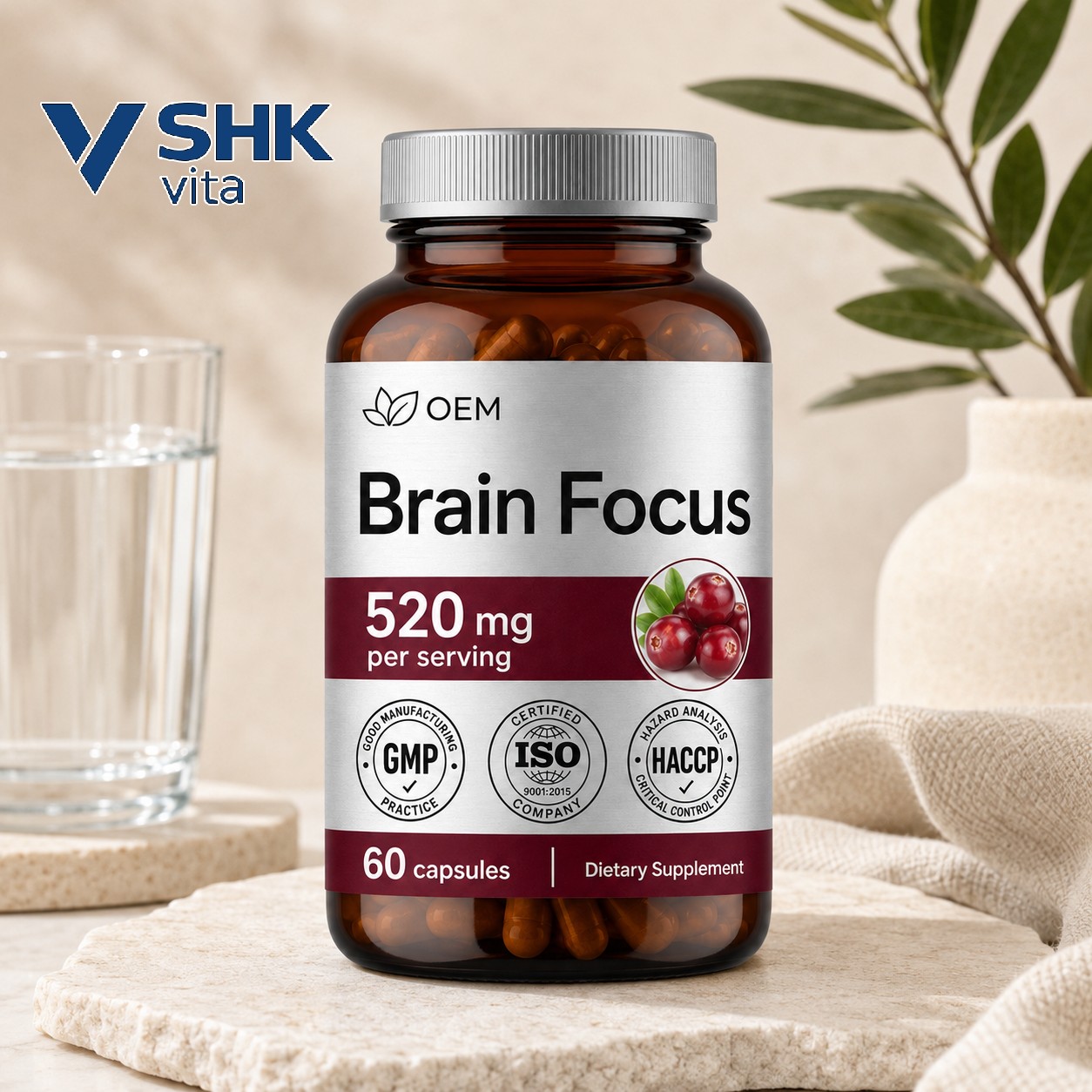 Brain Focus Support Capsules